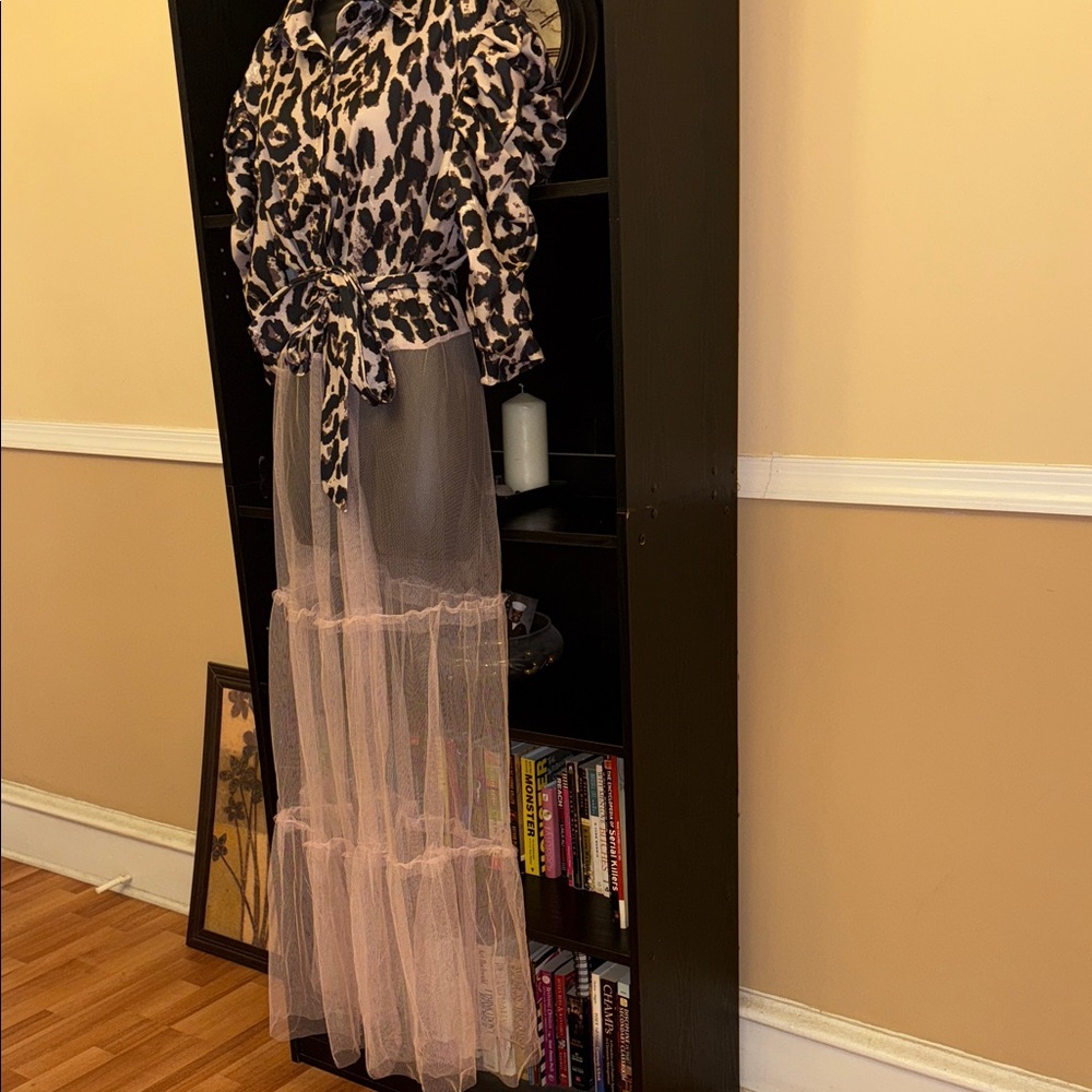 Leopard Print and Sheer Pink Maxi Dress